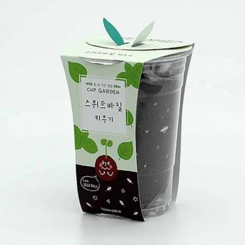 바질 키우기 스위트바질 식물 재배 세트