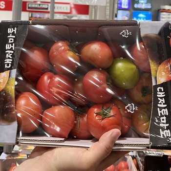 코스트코 대저 토마토 2.5kg