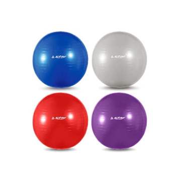 스타 642VUY77 피트니 스 짐볼 65cm EB200 (색상랜덤)