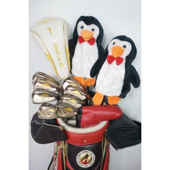 [중고] 여성 다이와 DG-L2 입문자용 풀세트 캐디백 포함 판매 다이와 마스터스 정품