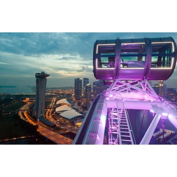 싱가포르 5일 전일관광 센토사섬 MBS스카이파크 플라이어 리버보트 2층버스 버드파라다이스 5성호텔