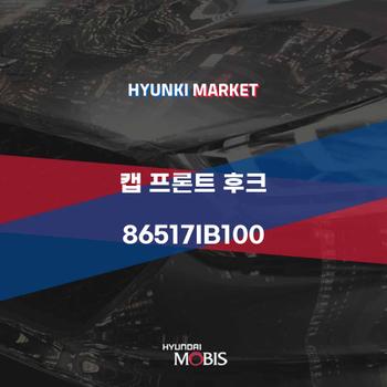 캡 프론트 후크 (86517IB100)