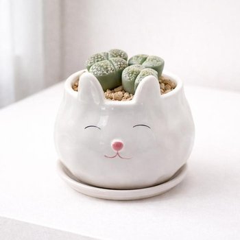 모던 도기 애니멀 캐릭터 화분 S 6x6cm 토끼 화이트