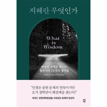 지혜란 무엇인가 : 현명한 선택을 만드는 철학자의 12가지 생각법