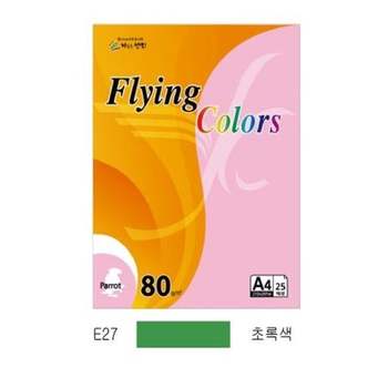 복사용지 QL50UC72 A4 120그램 초록색 20매