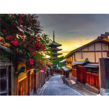 [6명부터출발][청주출발/오후출발][심플한 오사카] 오사카/교토/나라 4일 (1일자유)