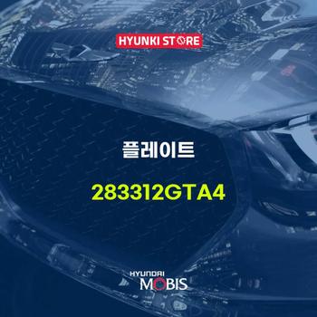 현대모비스플레이트 (283312GTA4)