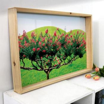 아트박스/꾸밈 da873-우드프레임액자_싱그러운배롱나무(대형)