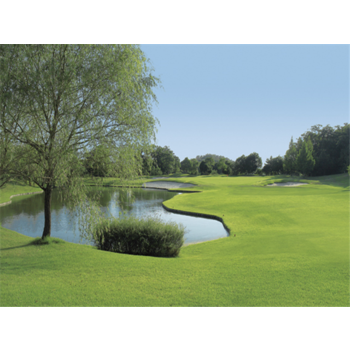 [다색골프/루트인 가토호텔/54홀]고베 골프 4일 시내호텔/도조노모리C.C 3개 코스/기본 싱글룸 사용/클럽중식포함