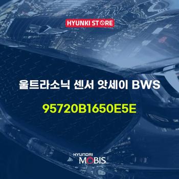 현대모비스울트라소닉 센서 앗세이 BWS (95720B1650E5E)