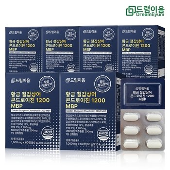 드림이음 황금 철갑상어 콘드로이친 1200 MBP 6형 철갑상어연골 6개...