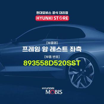 프레임 암 레스트 좌측 (893558D520SST)