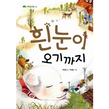 흰눈이 오기까지