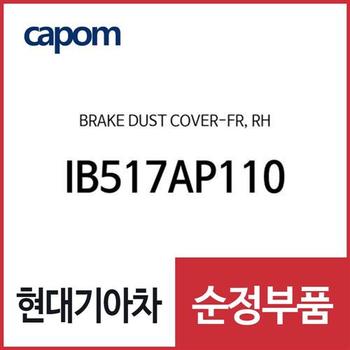 브레이크 더스트 커버-프론트,우측 (IB517AP110) 아반떼N
