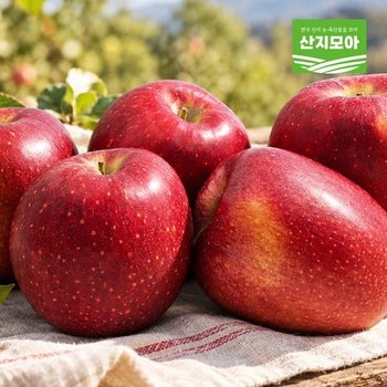 [신세계백화점]감홍사과 대과 3kg/13과내외