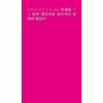 뚱한 펭귄처럼 걸어가다 장대비 맞았어 - 문학동네시인선 165