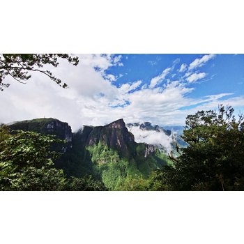 [출발확정] [스마트초이스]장가계/원가계 5일 천문호선쇼 귀곡+유리잔도 전신마사지 관광지 중심 5성급호텔 핫플레이스 72기루 리무진버스 포토북 특식4회 쇼핑1회