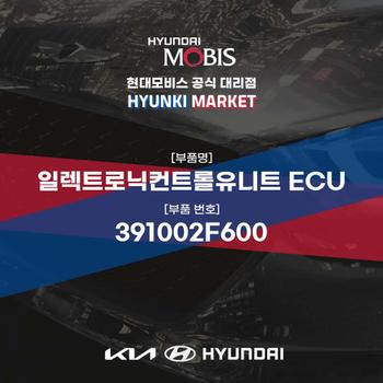 일렉트로닉컨트롤유니트 ECU (391002F600) 현대모비스부품몰