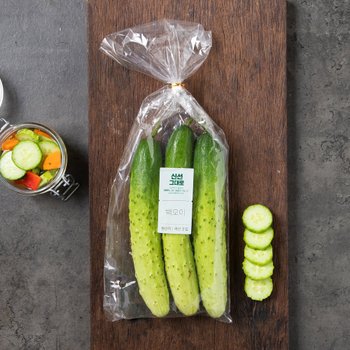 [농할 20% 할인쿠폰 다운로드] 강원 백오이 500g (3입) 봉
