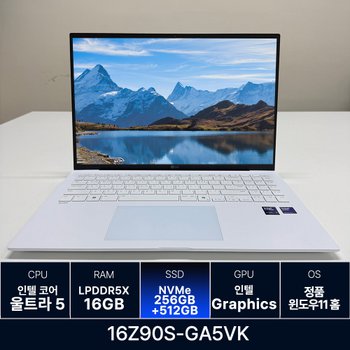 LG전자 LG그램 16Z90S-GA5VK RAM 16GB 256GB + 512GB 추가