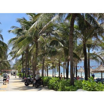 [청주출발] 다낭 6일 NO옵션 윈덤 골든베이 월드체인5성 200상당혜택 바나힐 테마파크 호이안 야경투어 바구니배 한강크루즈 전신마사지 씨푸드