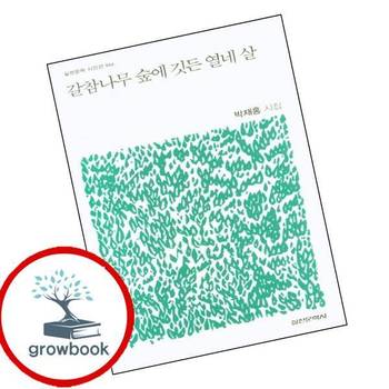 갈참나무 숲에 깃든 열네 살 갈참나무숲에깃든열네살 책