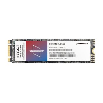 타무즈 GKM330 M.2 2280 SSD 128GB