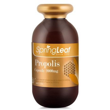 [해외] 스프링리프 프로폴리스 Propolis 2000mg 365캡슐