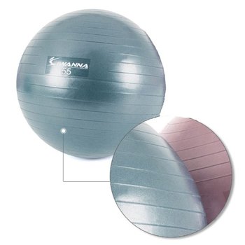 아이워너 안티버스트 짐볼 55cm 블루 1P 근력 홈트 임산부짐볼 잘안터지는짐볼 짐볼운동