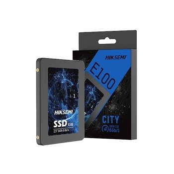 [오늘출발] HIKSEMI E100 (1TB)
