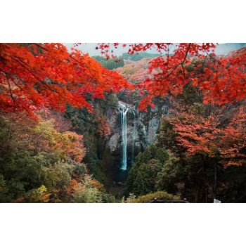 풀패키지 큐슈3/4일 정통료칸3박,대게뷔페,히타,야나가와뱃놀이 벳부,유후인,사가