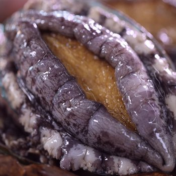 [수산대전20%쿠폰][바로배송]?[해신수산] 완도활전복 특大 8-9미 1kg_국내산(양식)