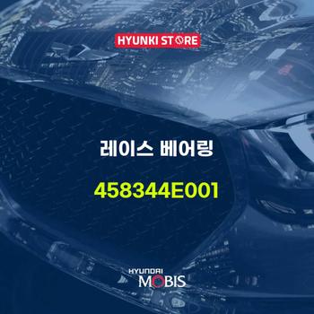 레이스 베어링 (458344E001)