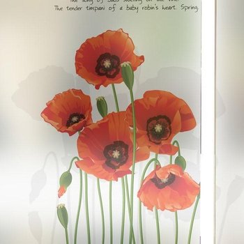 무점착반투명시트_MSC-435_마이플로어(B02_W180xH120cm) (2947308A)