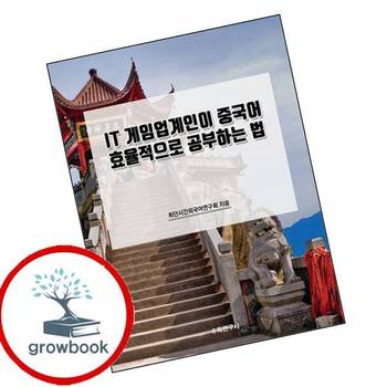 IT 게임업계인이 중국어 효율적으로 공부하는 법 책