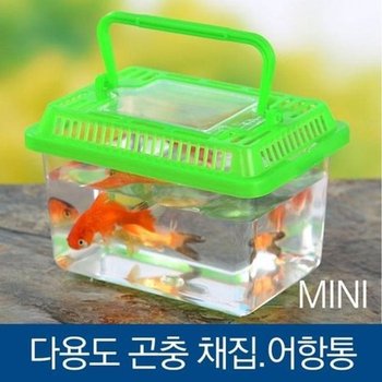 [JHQR937R_4B]채집통 미니어항 사육통 곤충채집통