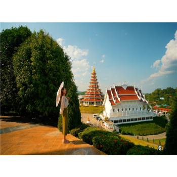 [3색관광]치앙마이+치앙라이 4박6일(4성급호텔+전통안마+커피증정+사원+야시장) ATP706TW76