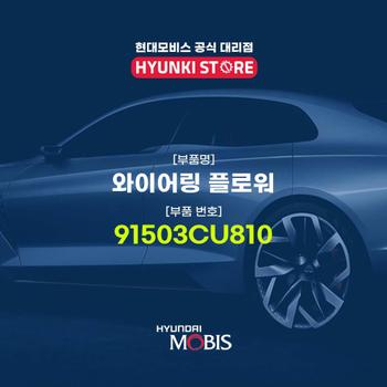 현대모비스와이어링 플로워 (91503CU810)