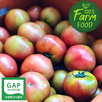 [잇츠팜] GAP인증 경주 안강토마토 5kg 10kg