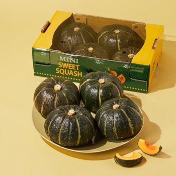 뉴질랜드 미니 단호박 1.8kg (5~7입)