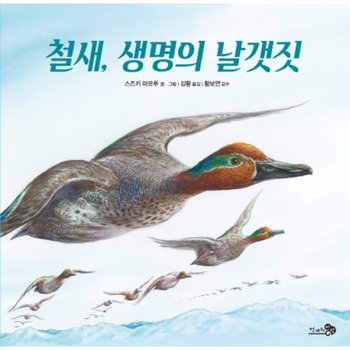 철새 생명의 날갯짓 (바람그림책 70) [양장]