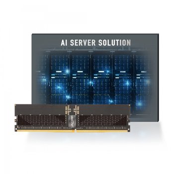 v-color DDR5-5600 CL46 STANDARD ECC/REG 패키지 (128GB(32Gx4))