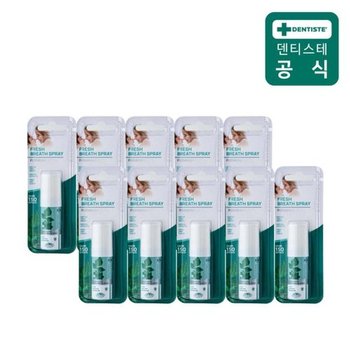 덴티스테 후레쉬 브레스 스프레이 15ml x 10개입