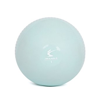 아이워너 소프트토닝볼 1kg 2개 1세트