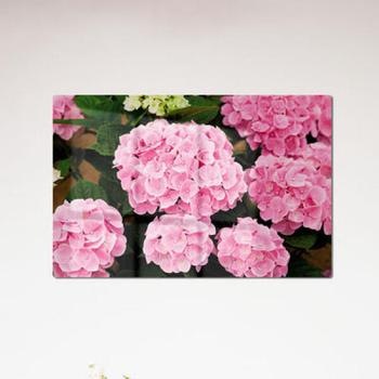 꾸밈 아트박스/꾸밈 pj246-폼아크릴액자58CmX38Cm_분홍수국