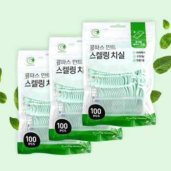 콤파스 민트치실 100개입x3개/y형 치실 이쑤시개