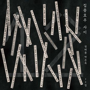 정태춘/ 박은옥 - 12집 집중호우 사이 180G LP