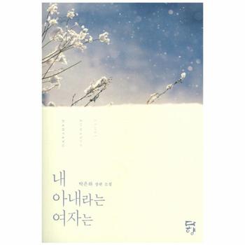 내 아내라는 여자는 박은하 장편 소설