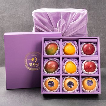 [SSG상품권증정이벤트][1/26(월)순차출고][달가온 고급4호] 과일 선물세트(배3/애플망고2/한라봉2/사과2)