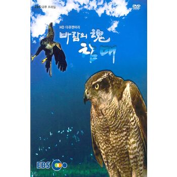 DVD - EBS 바람의 혼, 참매